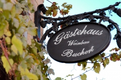 gaestehaus-buchert-neustadt-weinstrasse-pfalzcard
