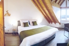 uebernachtung-neustadt-weinstrasse-gaestehaus-pension-buchert