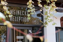 uebernachtung-w                            inzer-buchert-pension